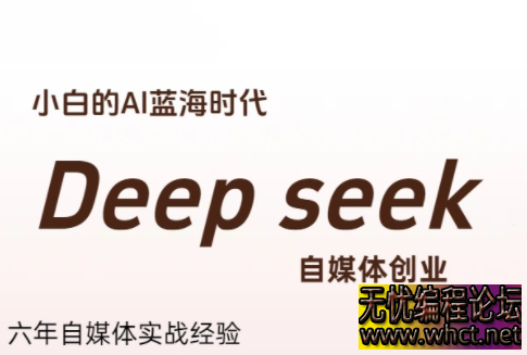 冰冰老师·普通人如何利用Deepseek创业  9122 无忧技术吧www.92wuyou.cn